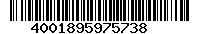 4001895975738