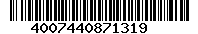 4007440871319