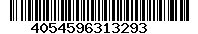 4054596313293
