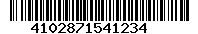 4102871541234